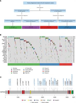 Machine learning models-based on integration of next-generation sequencing testing and tumor cell sizes improve subtype classification of mature B-cell neoplasms